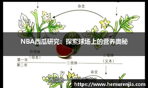 NBA西瓜研究：探索球场上的营养奥秘